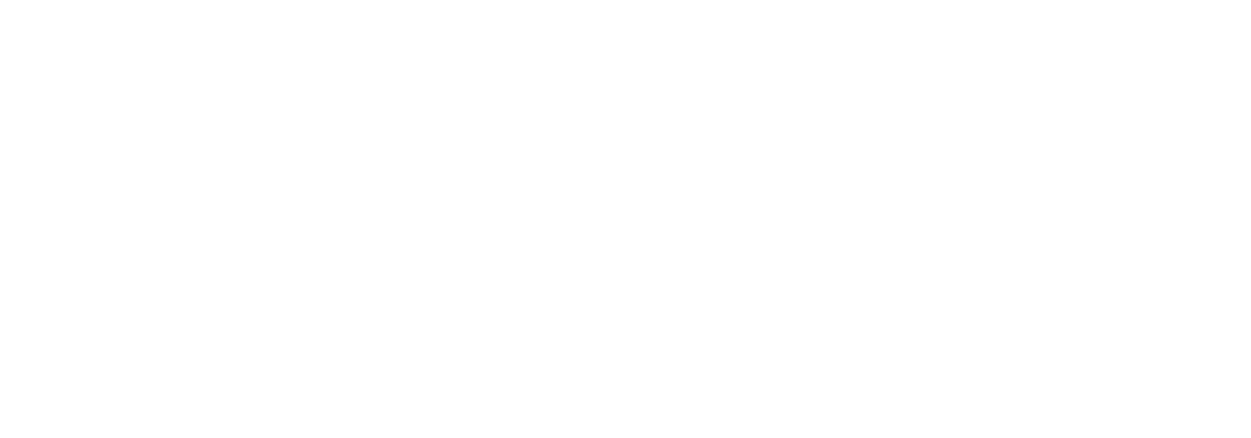 Forte Zone Businessmen Services