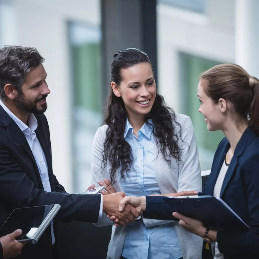 Business Consultation