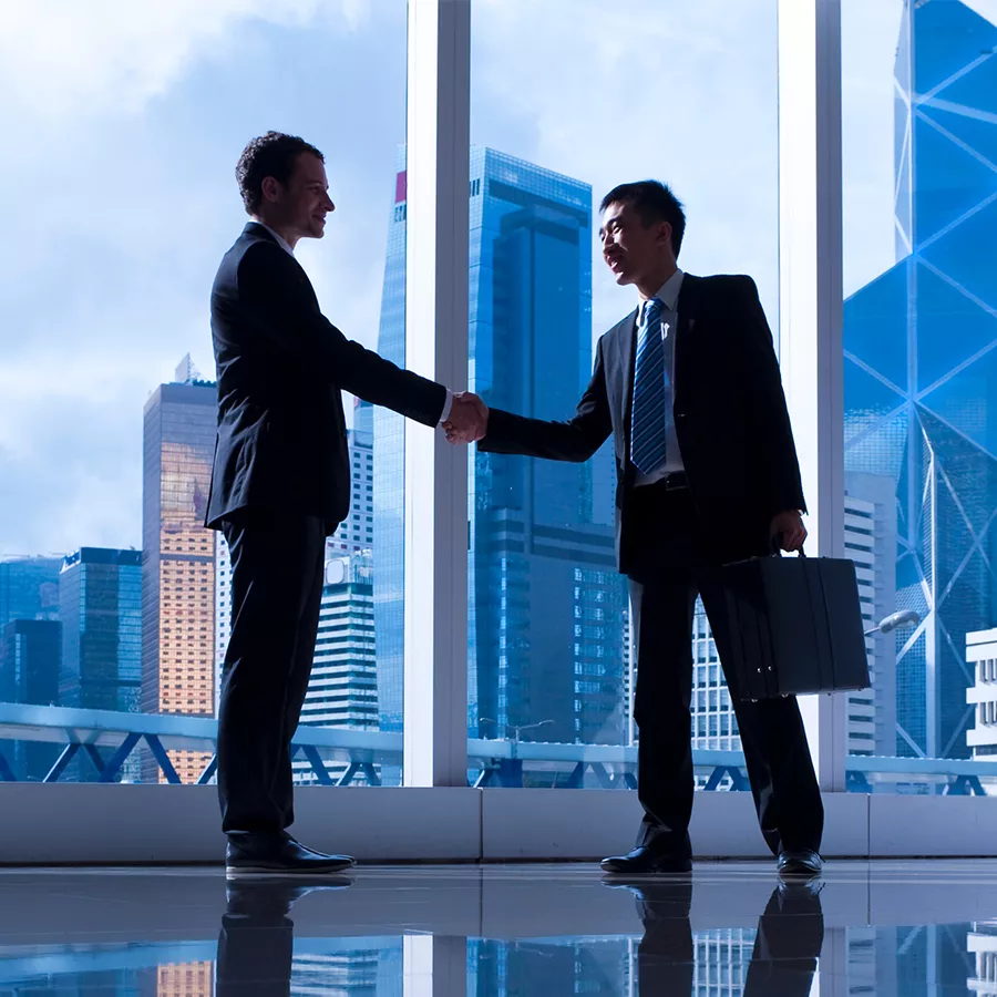 Business Consultation